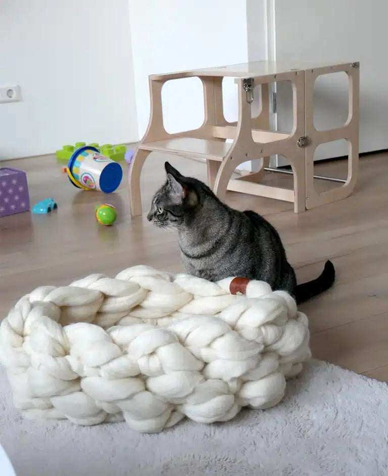 Kattenmand